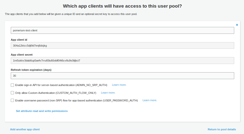 AWS Cognito App Client Details