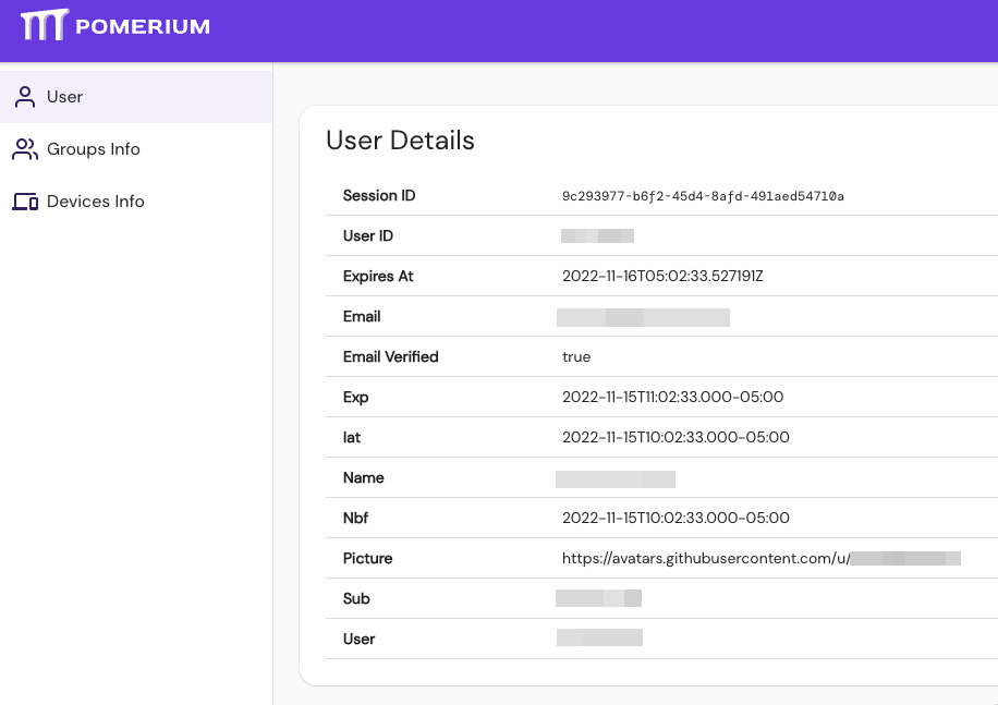 Pomerium User Details